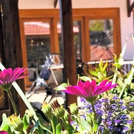 Hotel Ibri Boutique 4*